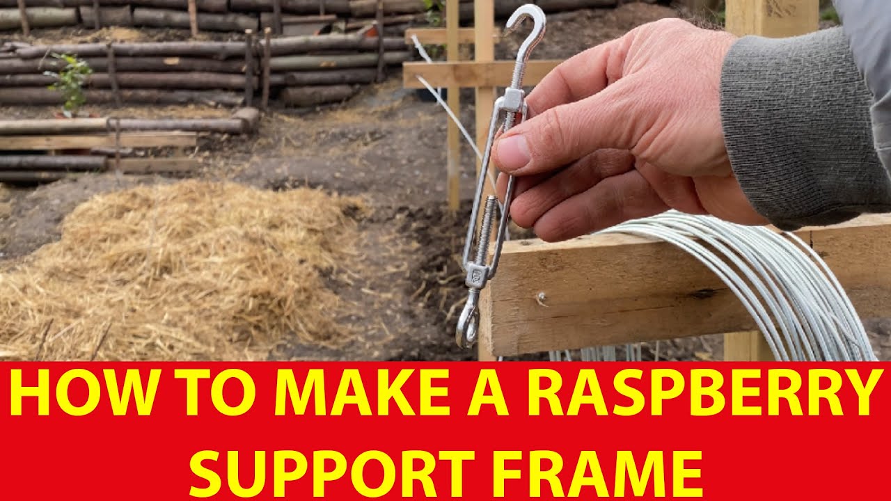 How to Make a Raspberry Support Frame for Summer Fruiting Raspberries