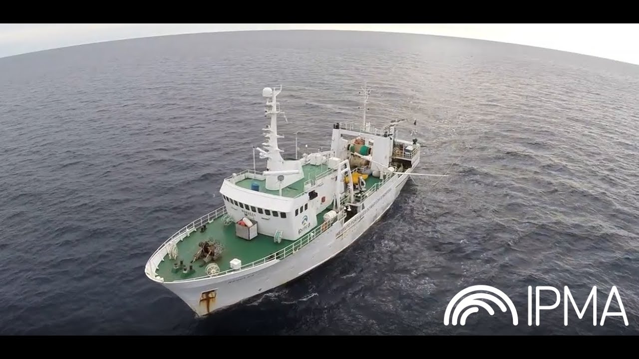 Navio de Investigação (NI) Noruega do IPMA, trabalhos a bordo.