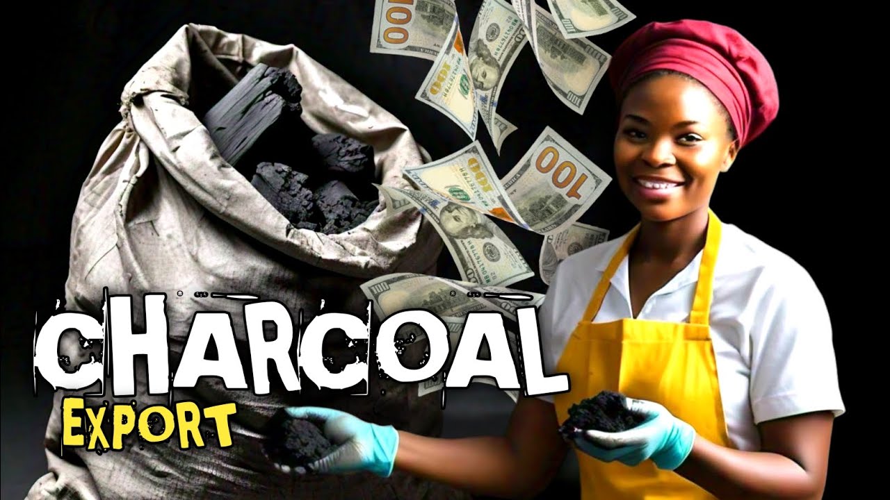 How to Earn Big from the Charcoal Export Business in Nigeria (Documentary)