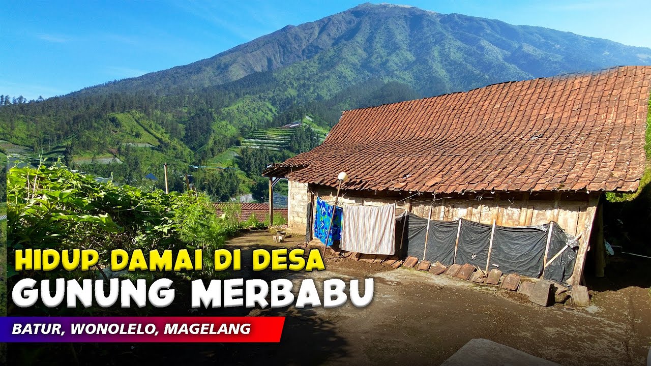 HIDUP DAMAI DI DESA GUNUNG MERBABU !! Pemandangan Alam Desa - Cerita Desa Wonolelo, Magelang