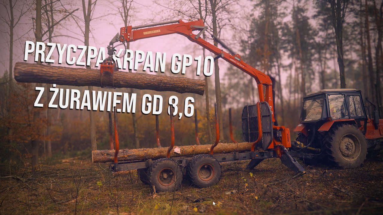 Krpan w Zakładzie Usług Leśnych