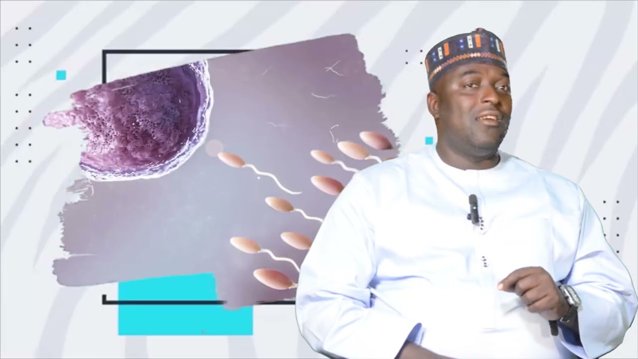 KOWACCE CUTA. part 1