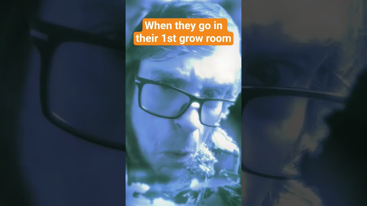 Going into your 1st grow room #weed #funny #silly #Marijuana #stoner #jokes #comedy