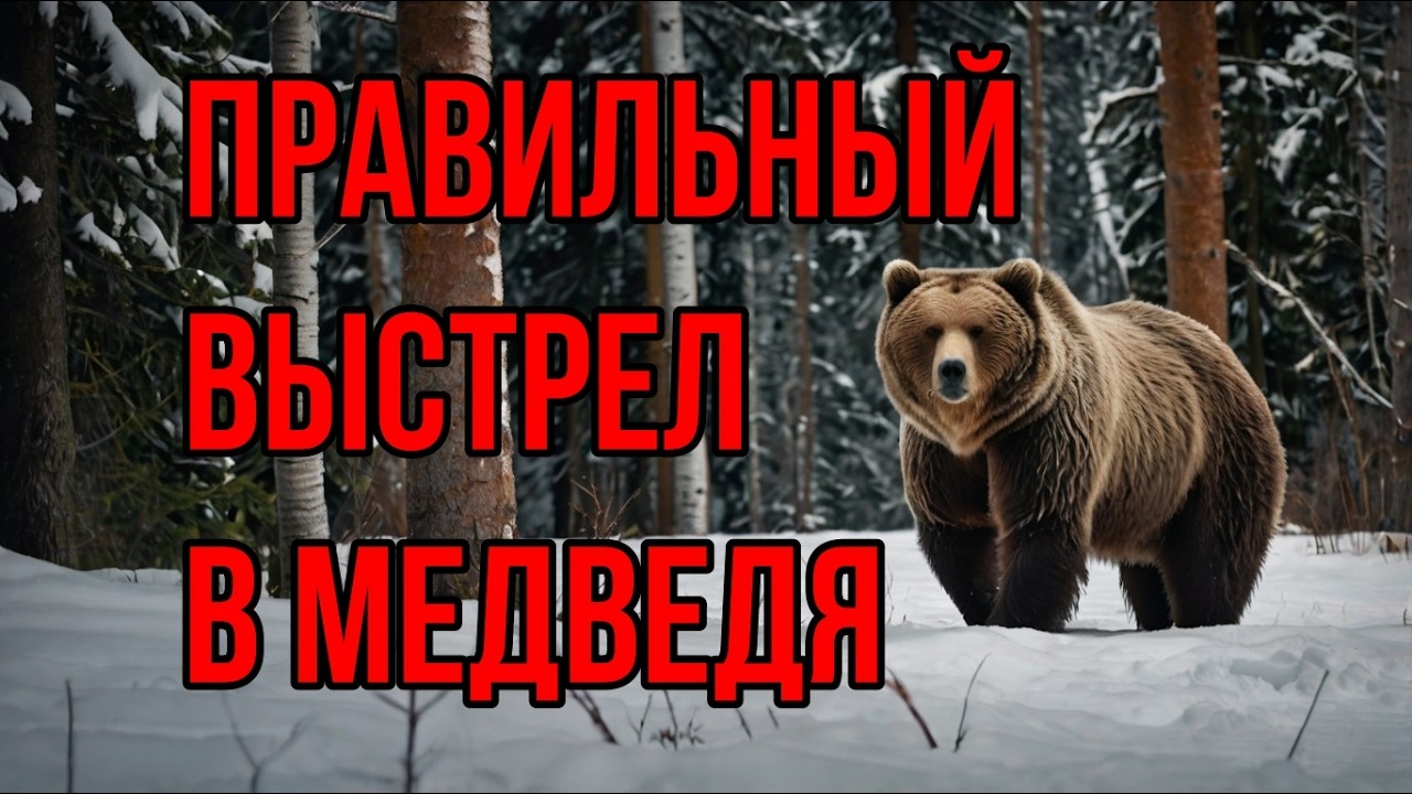 Как стрелять в медведя?