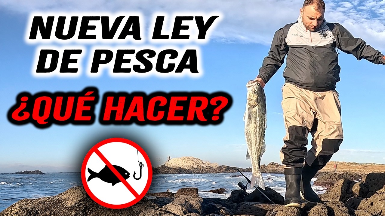 Pesca de la Lubina ⛔PROHIBIDA⛔¿Conservación o Negocio? ¿Qué hacer? ❌NUEVA LEY👉Mi opinión👈