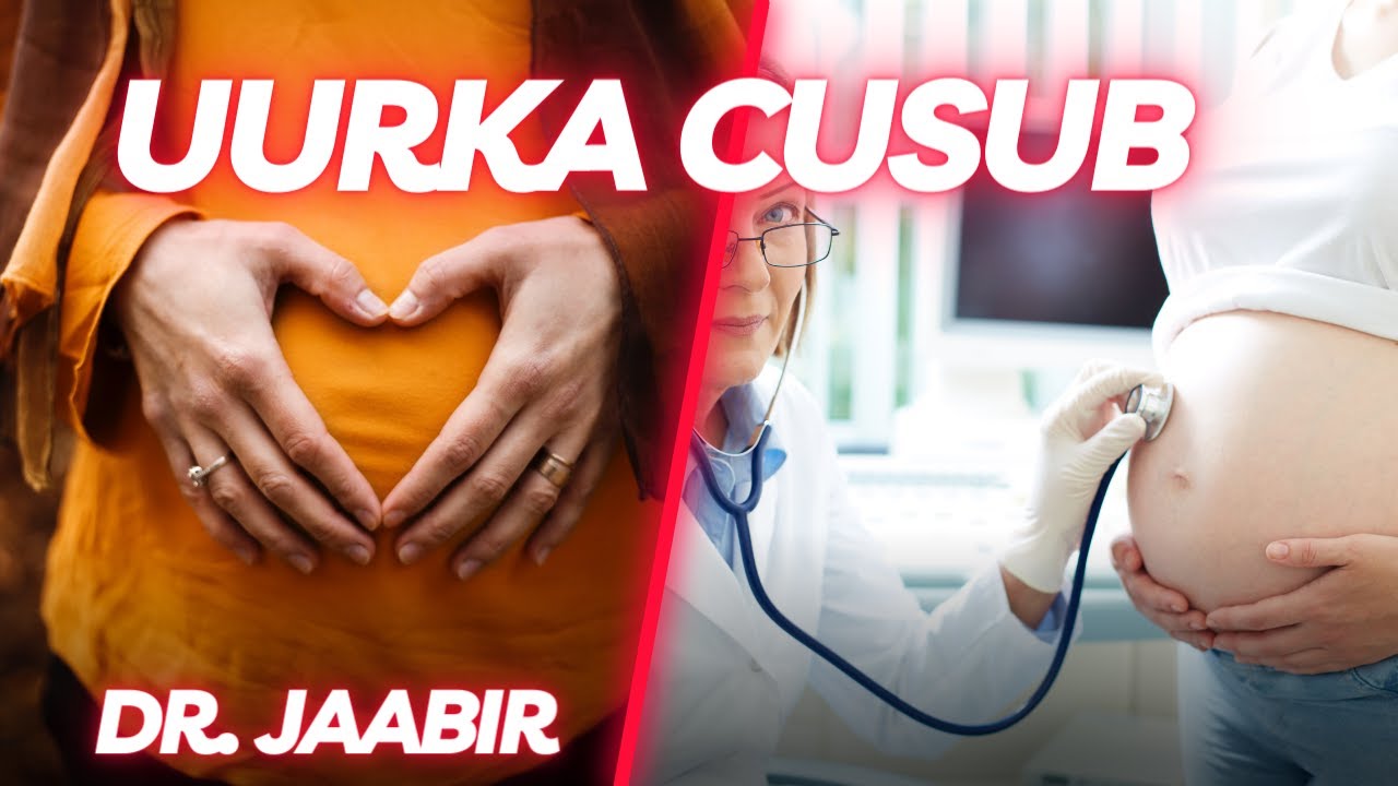 UURKA CUSUB IYO CALAMADAHA BILAWAGA AH EE LAGU GARTO || 2023