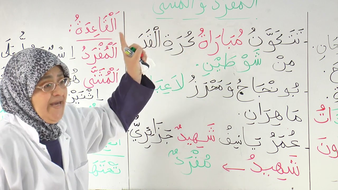 المفرد و المثني / السنة الثالثة ابتدائي / الدرس 3