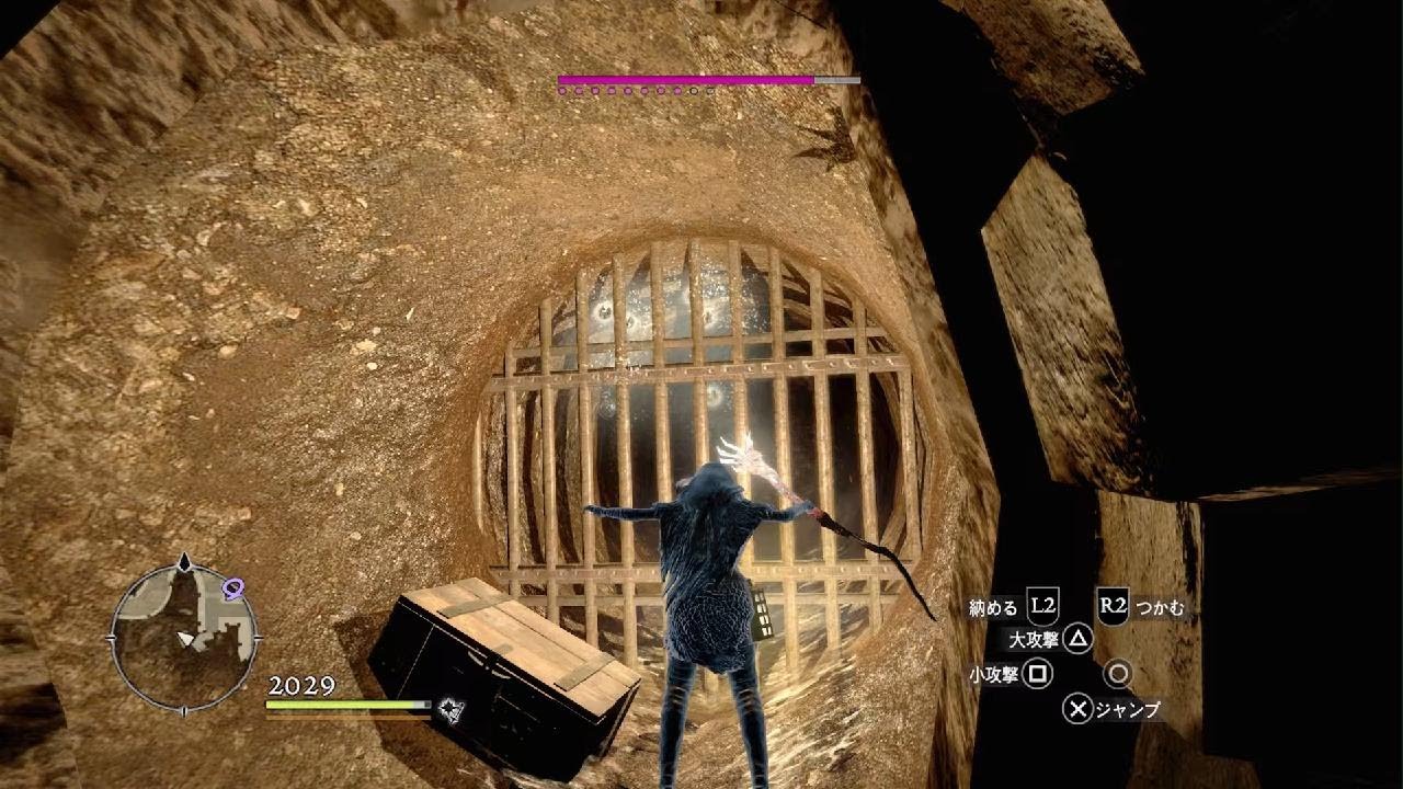ソーサラー覚者vsデスマラソン大会 レベリング  Act.6 DDDA ドラゴンズドグマダークアリズンPS4版PS5サブ垢妹でまったりshareプレー