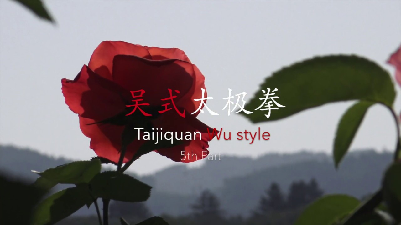Taijiquan Wu style (5th part), school of Wu Yinghua/Ma Yueliang/Shi Meilin