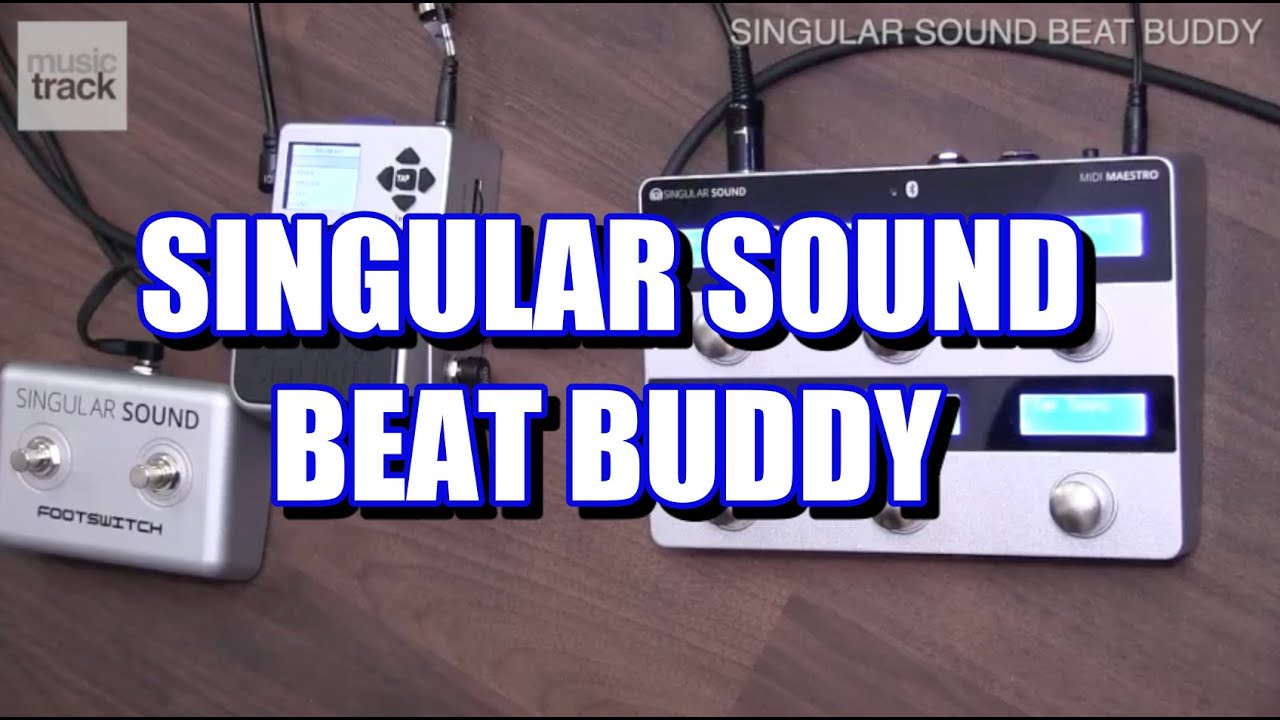 SINGULAR SOUND BEAT BUDDY Demo & Review