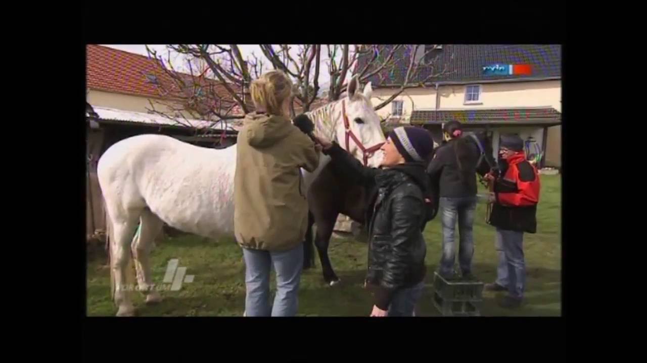 Osterreiten * Ralbitz * Sorben * Zaumzeug * Serbja * Jutry