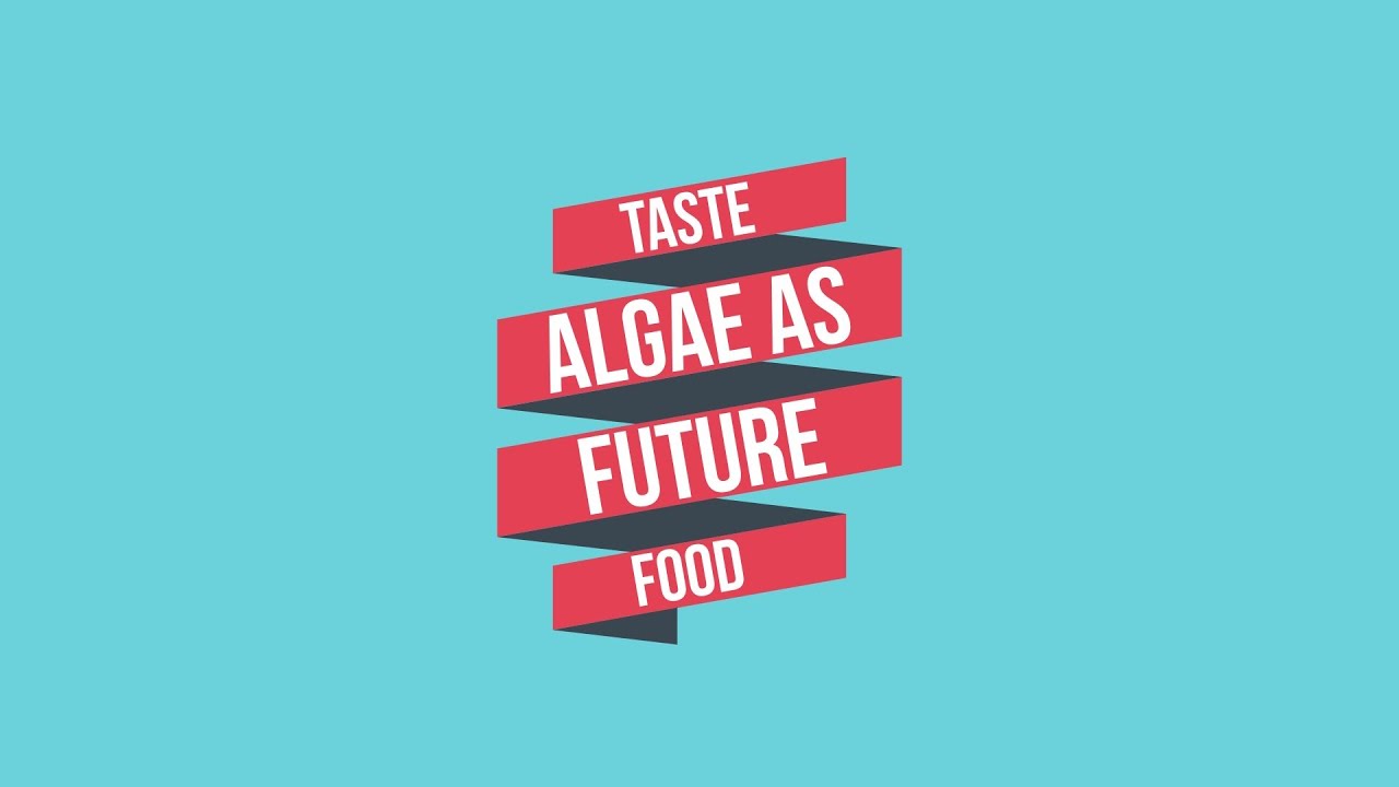 ALGAE GLASS