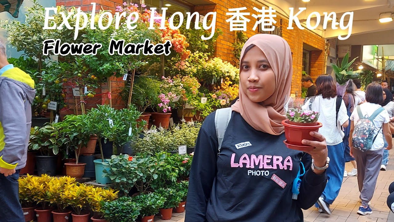 Explore Hong Kong Flower Market | Flower Market Road, Prince Edward