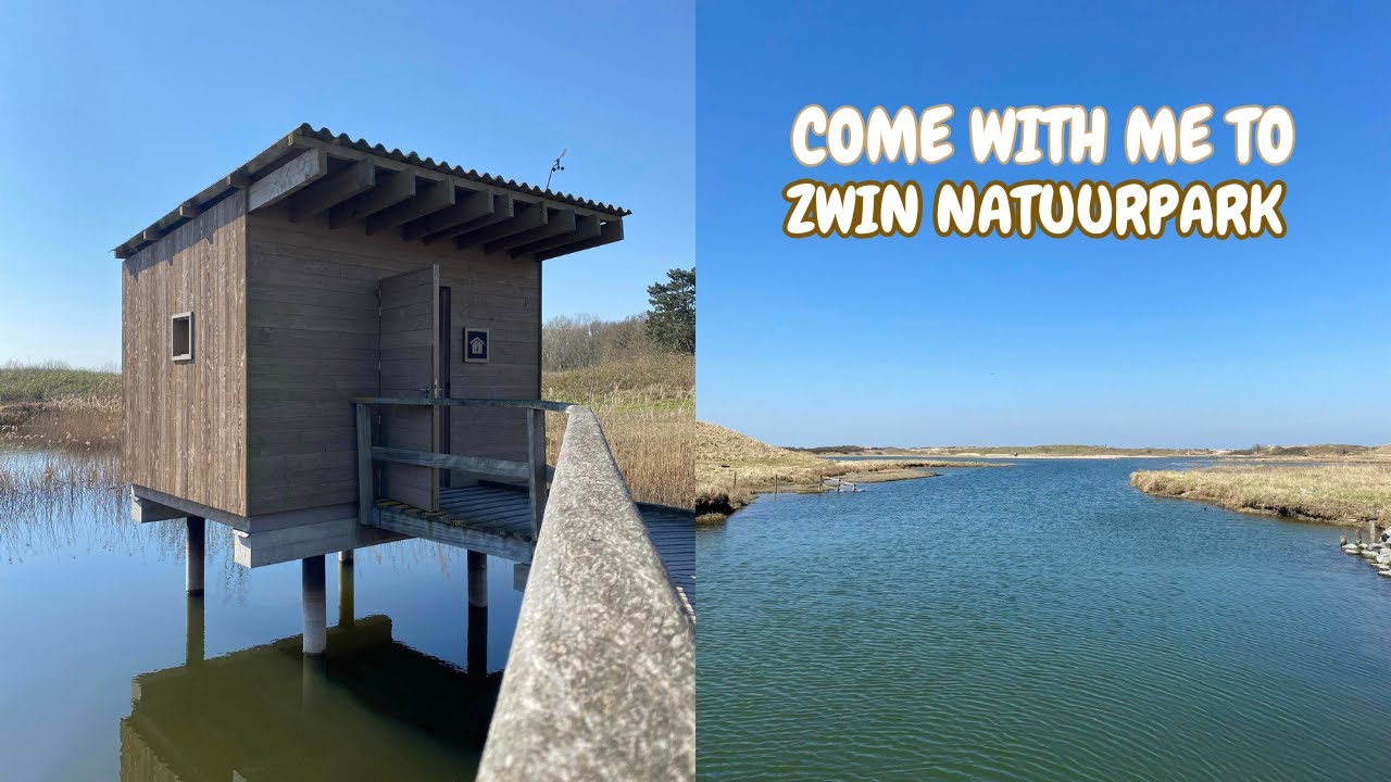 Nature walk in a nature reserve - Come with me to Zwin Natuurpark