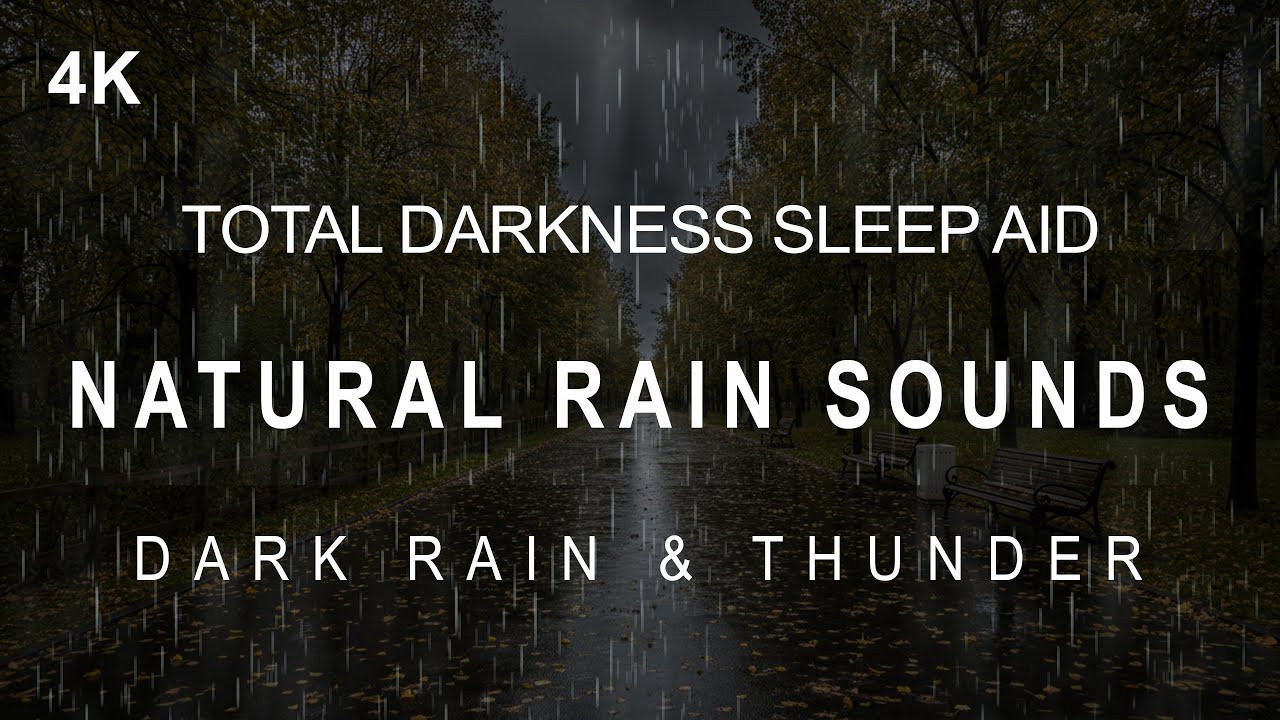 ⛈️ Natural Rain Sounds | Total Darkness Sleep Aid | 1 Hour