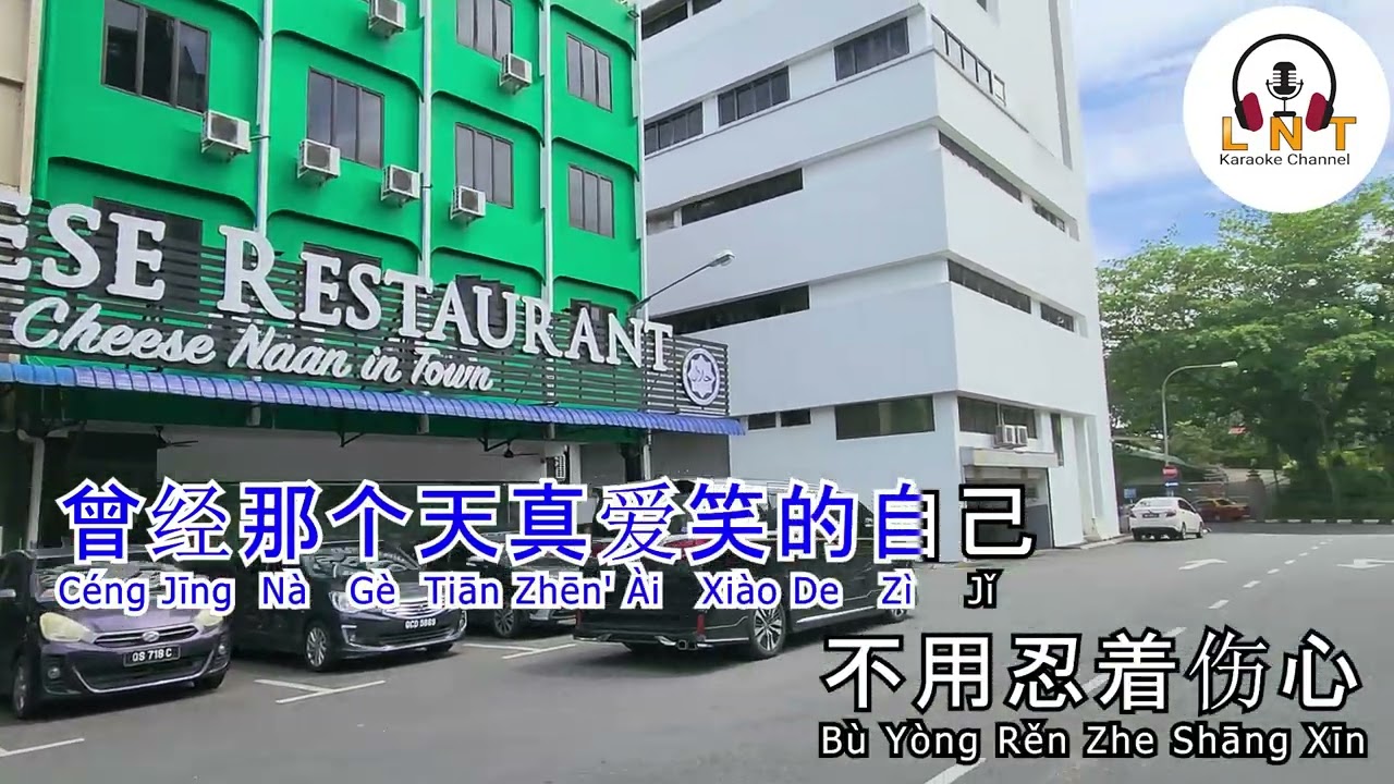 懷念曾經的自己 Huai Nian Zeng Jing De Zi Ji  -  洋瀾一 Yang Lan Yi ( karaoke )