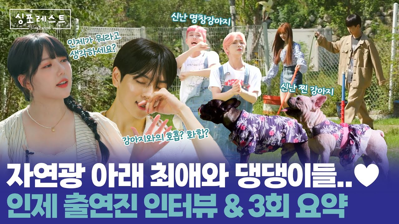 [싱포레스트] 강원도 인제는 말이죠옹...🎵 최애와 강아지의 호흡? 화합?🐶 #싱포레스트 3회 출연진 인터뷰 & 토크 하이라이트!