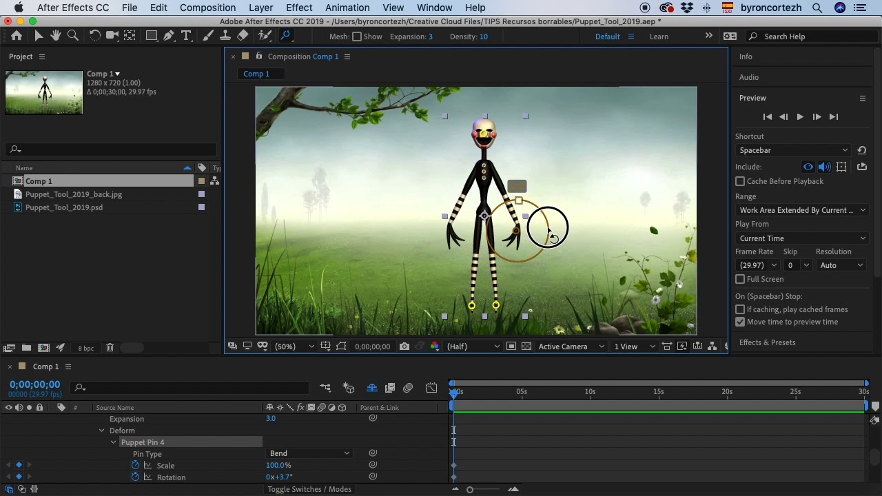 After Effects CC: Advanced Puppet Tool (Ae 2019)
