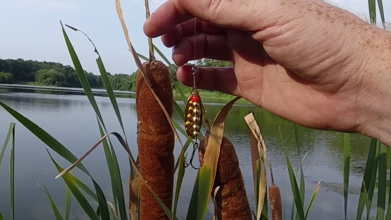 What CAN'T an inline spinner catch?! (multi-species, Thomas E.P. series)