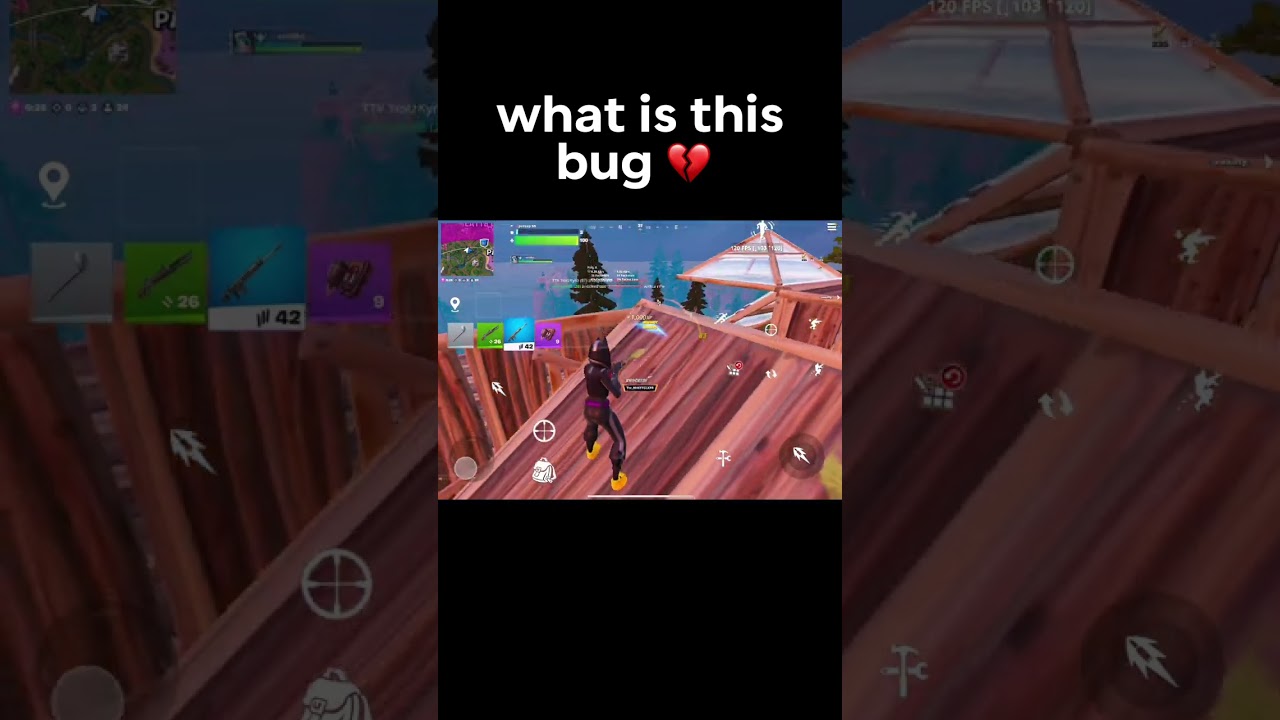 Что это за жук 💔