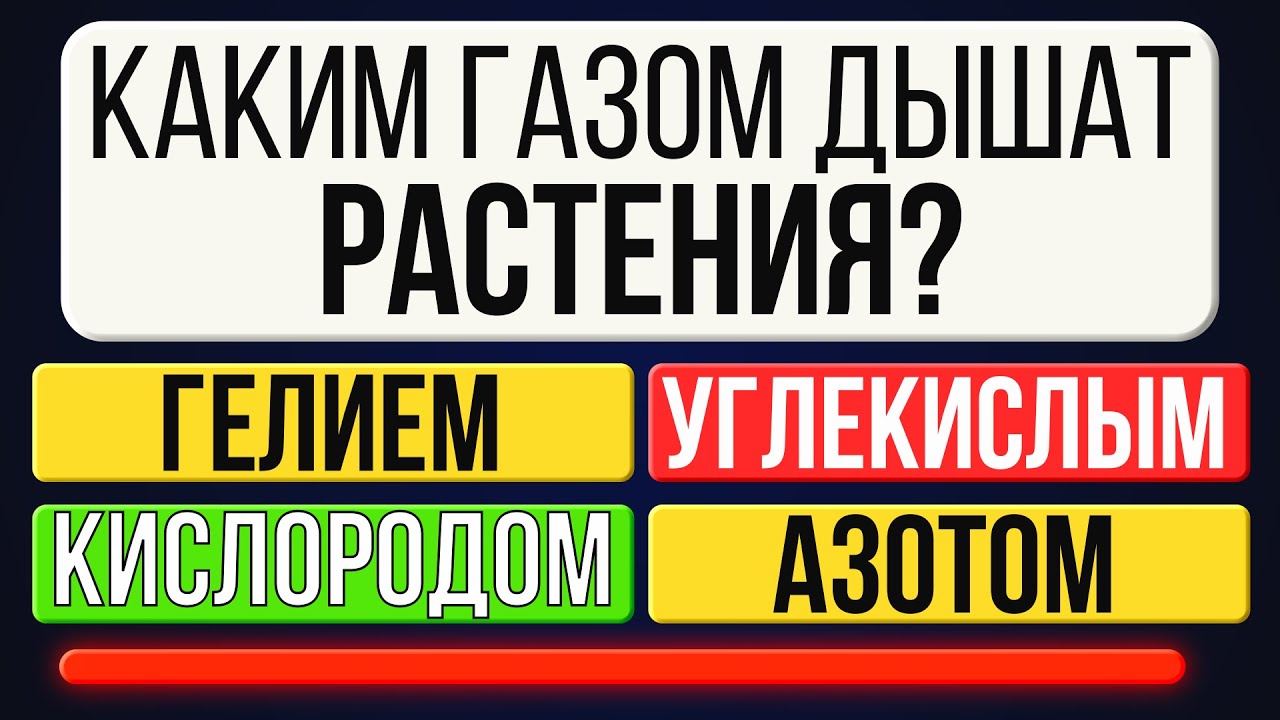 Сможете ответить на 10 из 25 вопросов этой викторины?! Будет нелегко!