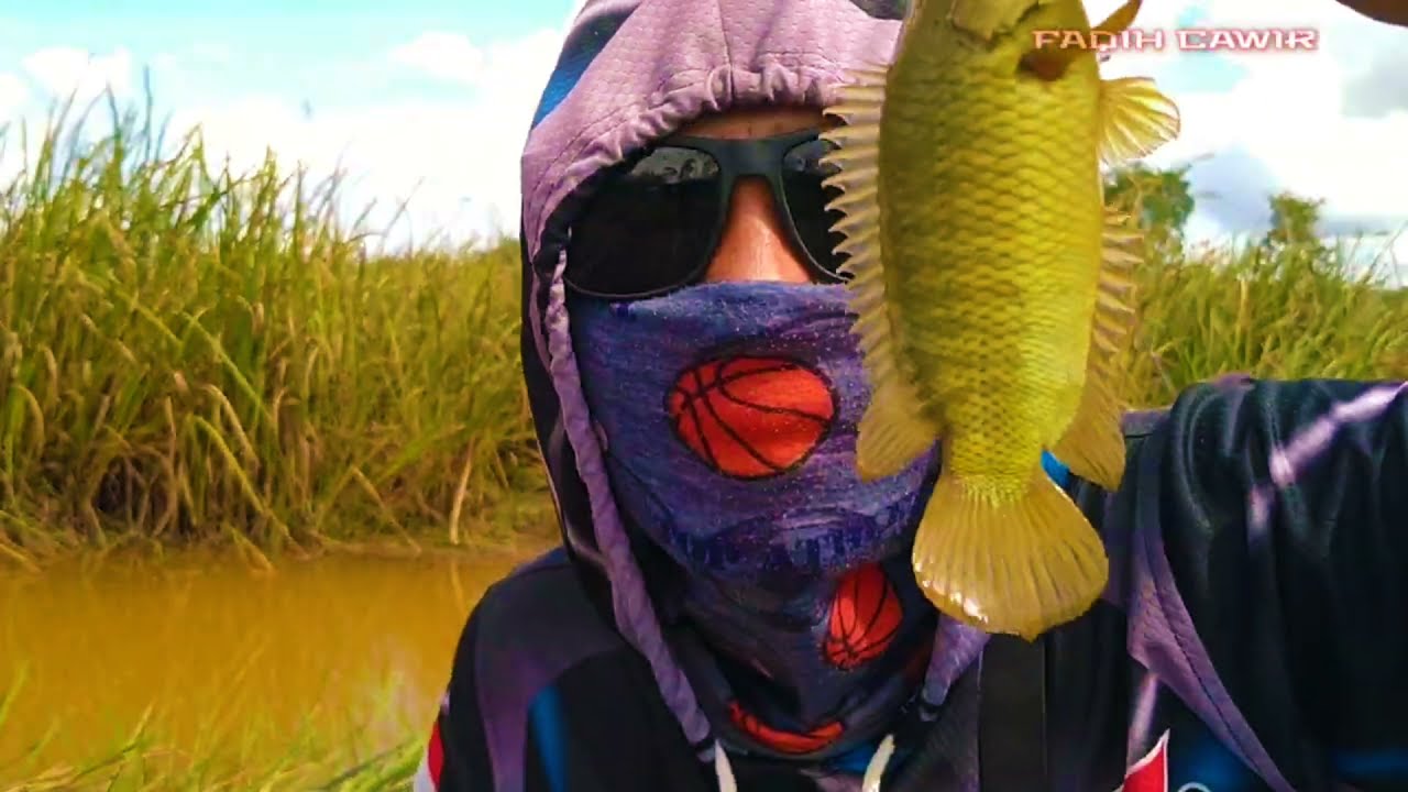 mancing betok kalimantan !!pemancing BETOK pasti ngiler liat spot in