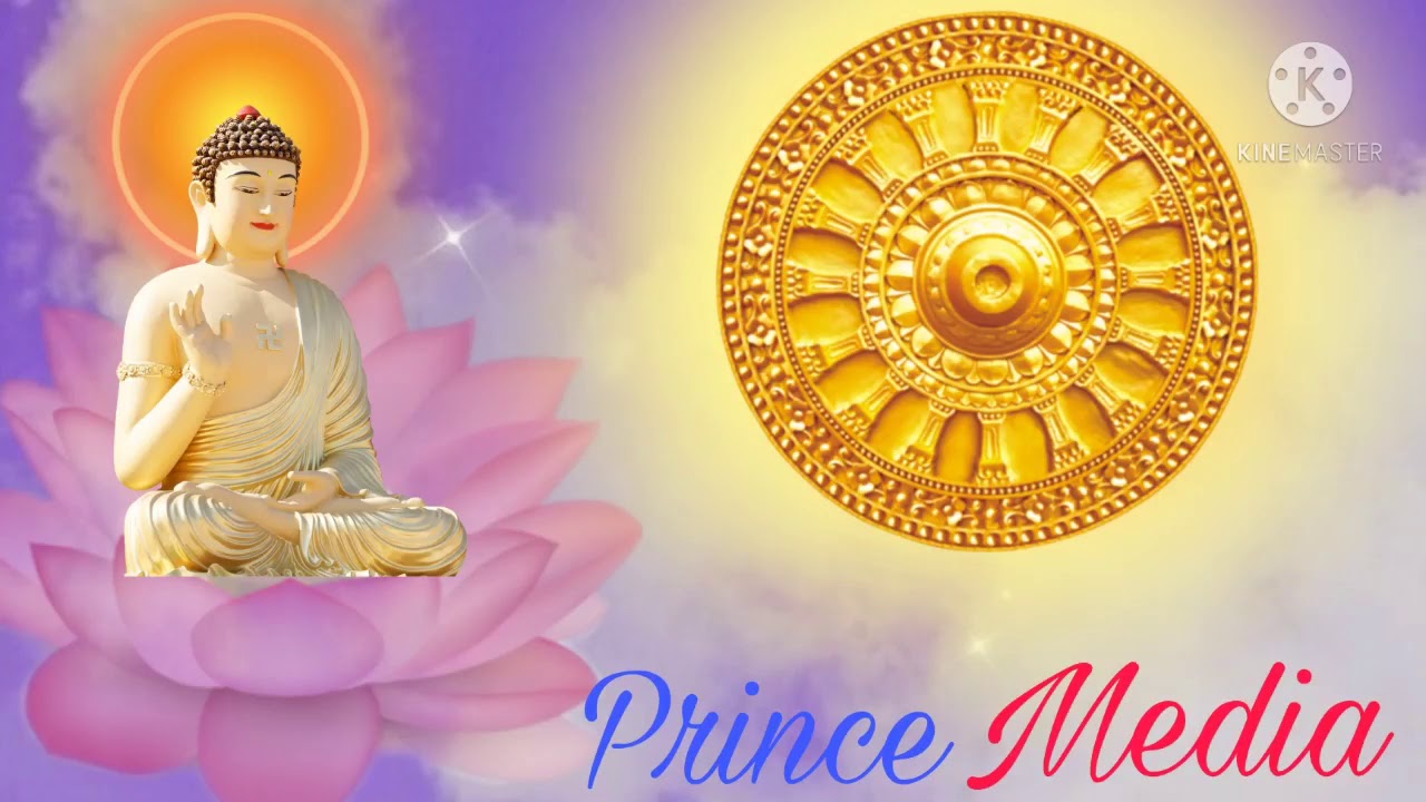 👉❤️Dhamma pada