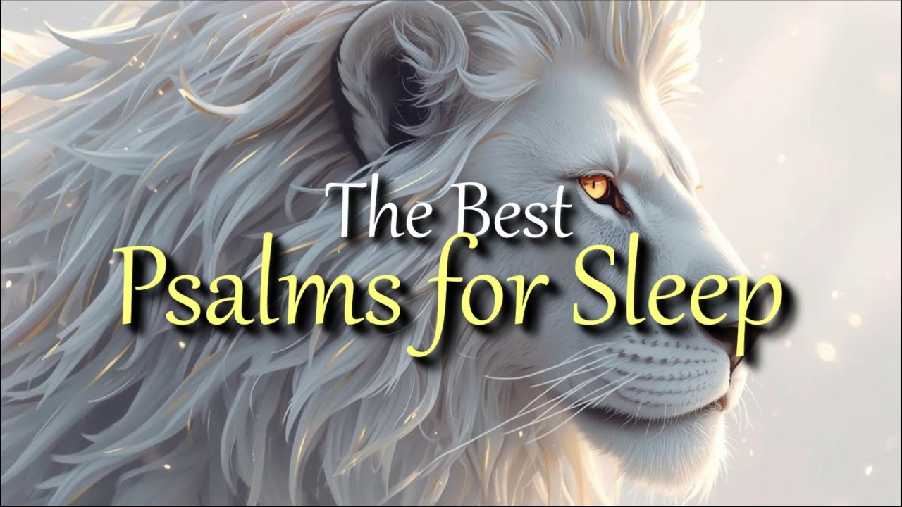 The Best Psalms to Sleep ｜Bible Reading ｜ Psalms ｜ Audio Bible