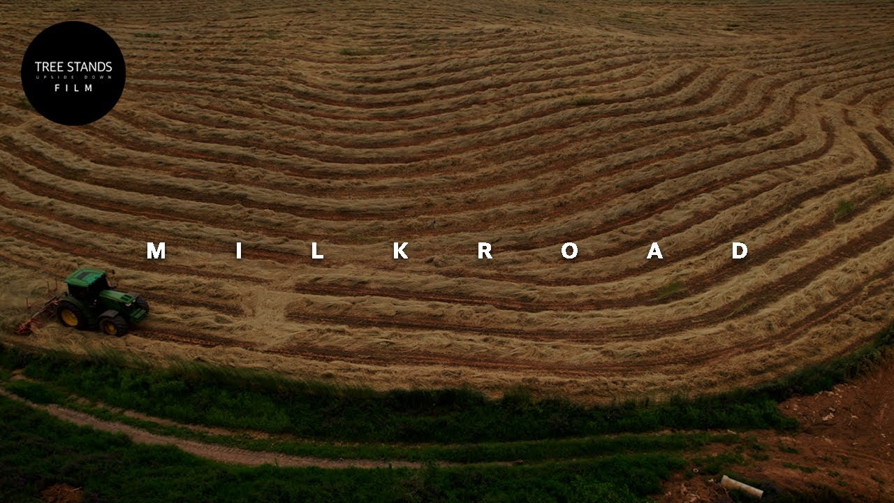 [TSUD FILM] 2025 밀크로드 (MILK ROAD) 4K 기업 다큐멘터리 SONY FX3 |  TREESTANDS UD FILM 나무거꾸로서다