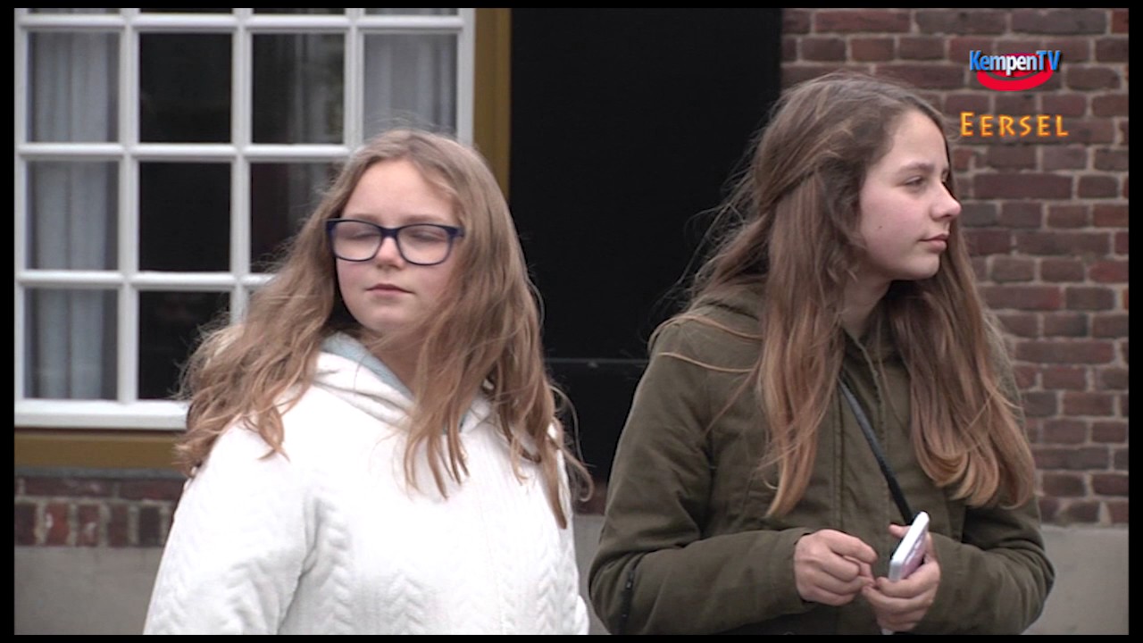 2017 februari Carnaval Optocht Eersel