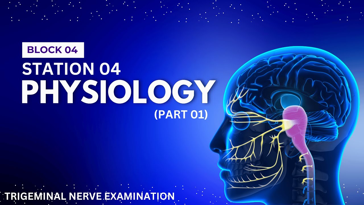 Station 04 | Part 01 | Block 04 | Ultimate OSPE Guide | Dr Awais Haral