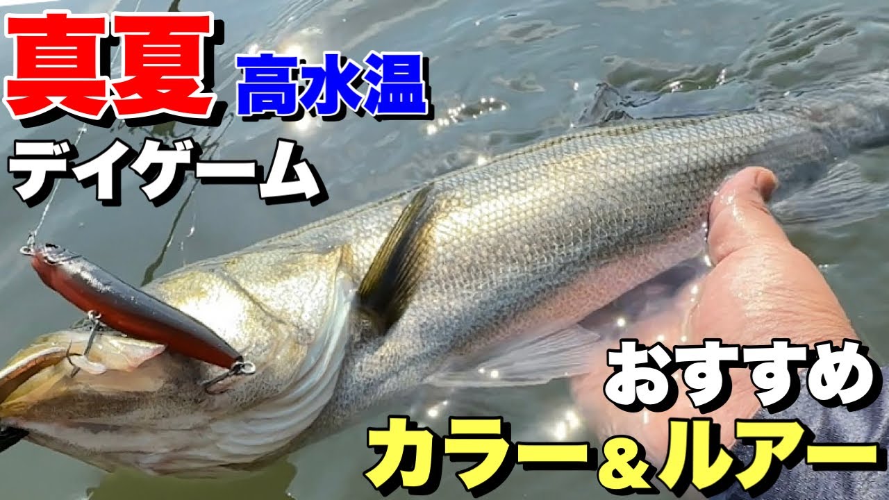 【灼熱デイゲーム】真夏の高水温におすすめな不人気カラーとトップ！