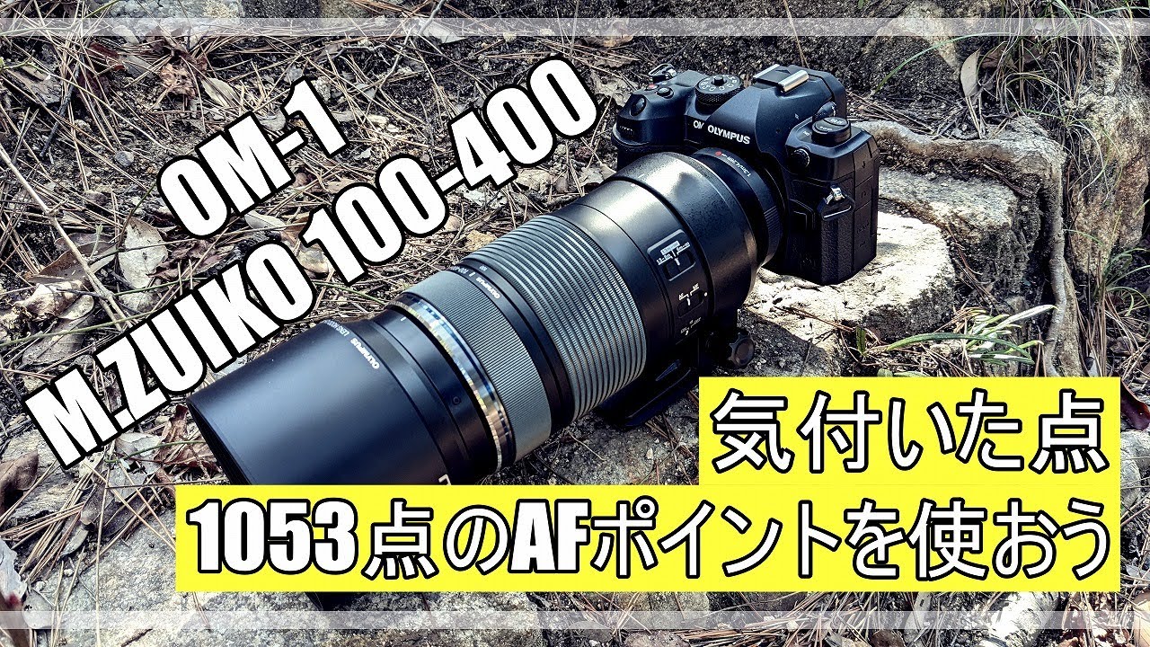 OM-1 野鳥撮影 少し使って気づいた事  M.ZUIKO 100-400mm