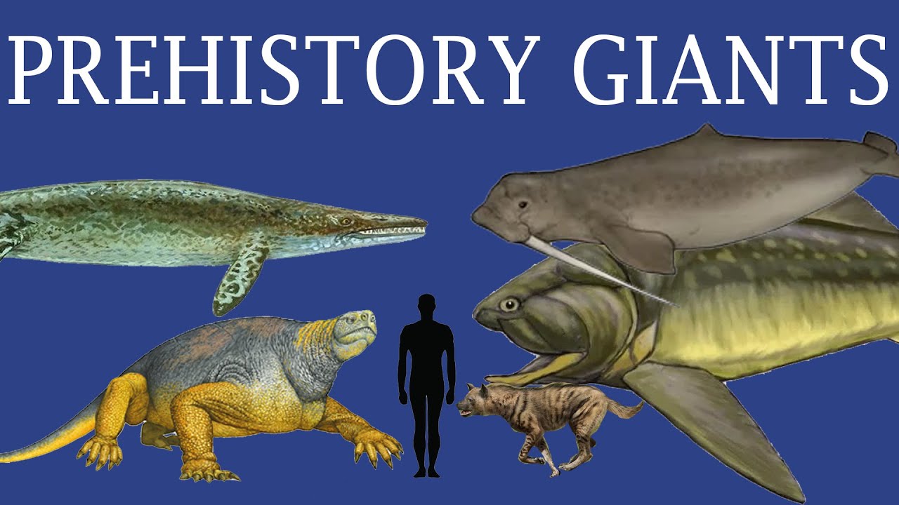 The forgotten Giants of Prehistory #2
