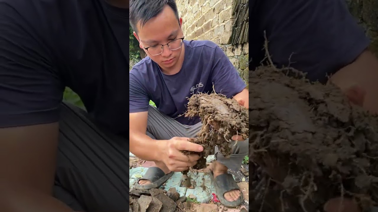必须让花园长出好看的花！ 我们的花园拔草几次，花都没剩多少。我们听劝，买来花苗种下去！一起期待吧！#我的乡村生活 #小院时光 #小院改造 #乡村生活家 #种花