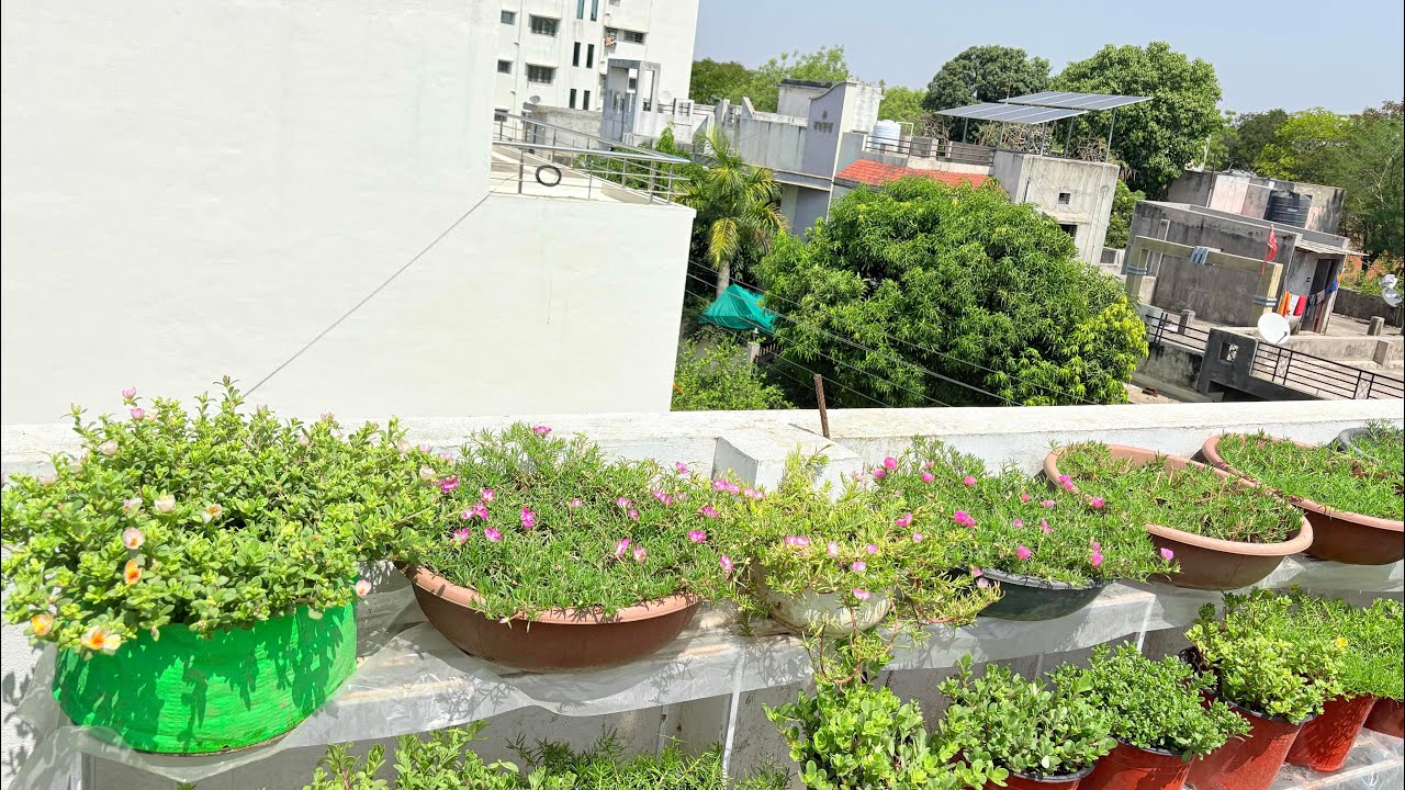 Sunday Terrace Garden overview