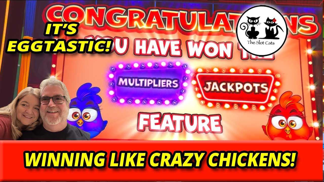 PLAYING CRAZY CHICKENS SLOT AT DURANGO! WINNER WINNER CHICKEN DINNER! #theslotcats #winning #bonus