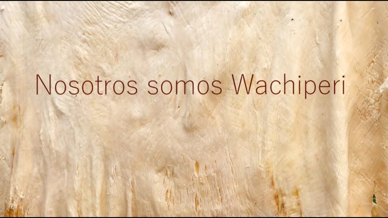 NOSOTROS SOMOS WACHIPERI