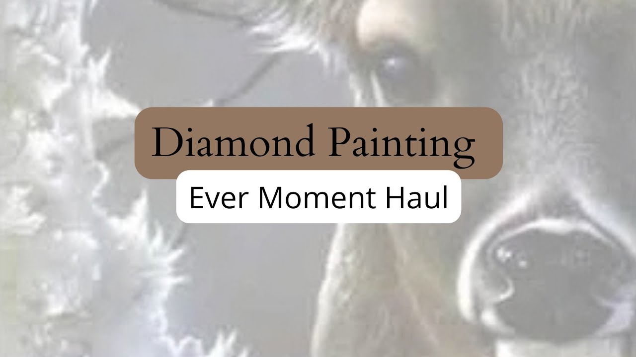Diamond Painting Ever Moment Haul / Jetzt mit gegossenem Kleber