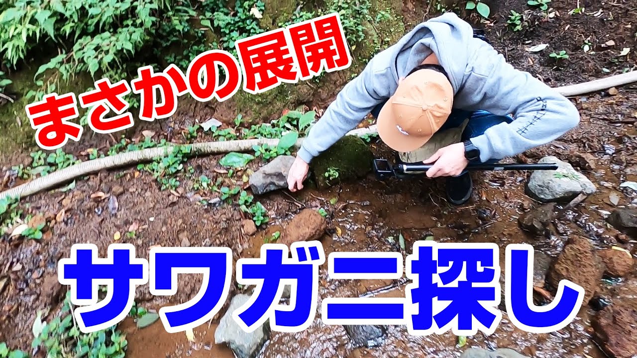 【サワガニ】第二弾まさかの結末／佐久間一行＆はいじぃ