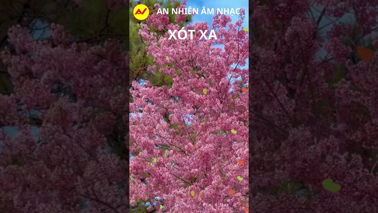 XÓT XA