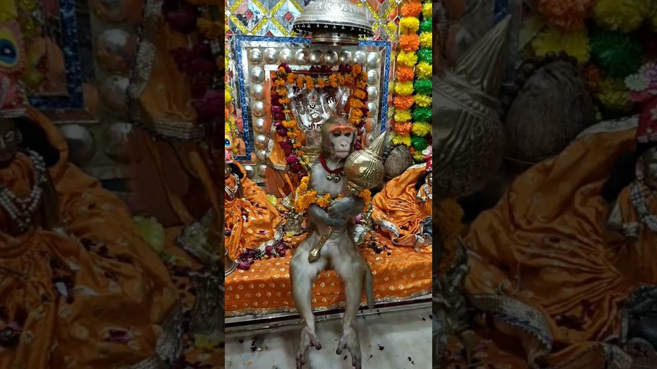 Sankatmoch Hanuma Ashatak 🙏#support 🙏#hanumanchalisa #hanumanji