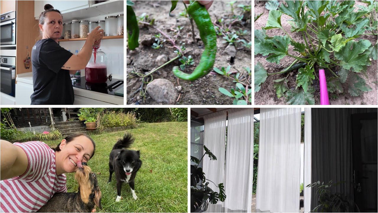 Ablamdan taktikler😂Bahçede misafir🐶Uymalara doyamadım 🥱#almanyavlog 