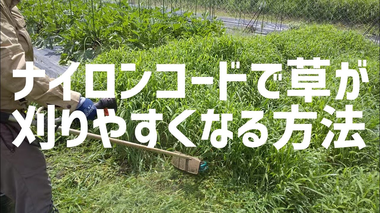 【草刈り】ナイロンコードで草が刈りやすくなる方法と平地の攻め方