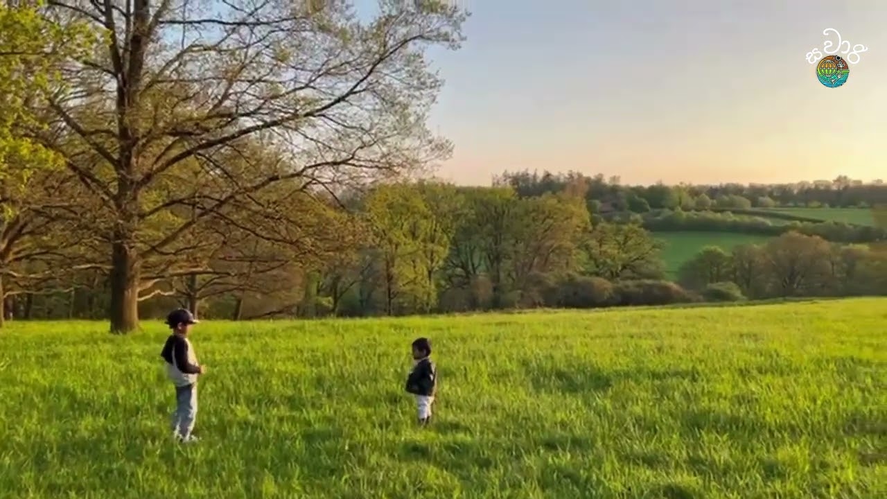 Unforgettable Summer vibe with Friends - Stuttgart - Germany