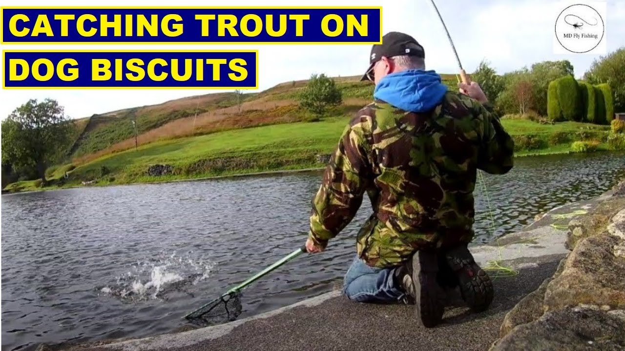 2. Fly Fishing with Pellet Fly - Dog Biscuits | Pennine Trout Fishery UK