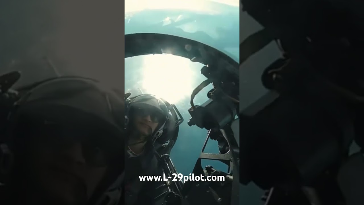 Dolphin flight. L-29 jet training aircraft