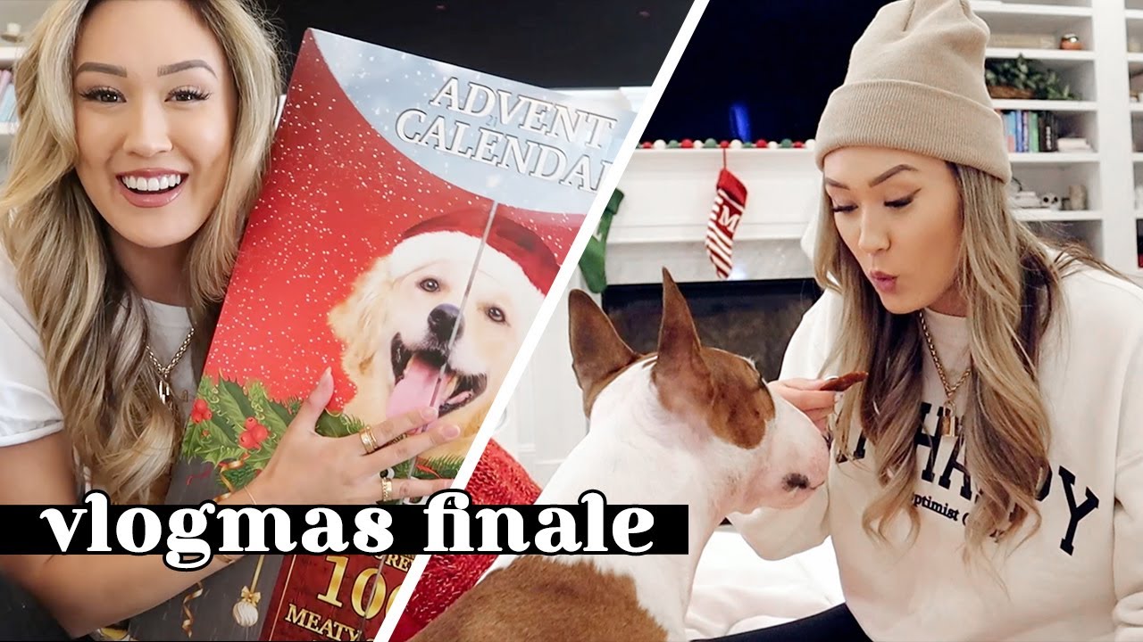 Moose's Advent Calendar Compilation + Vlogmas Finale! | Vlogmas Day 25