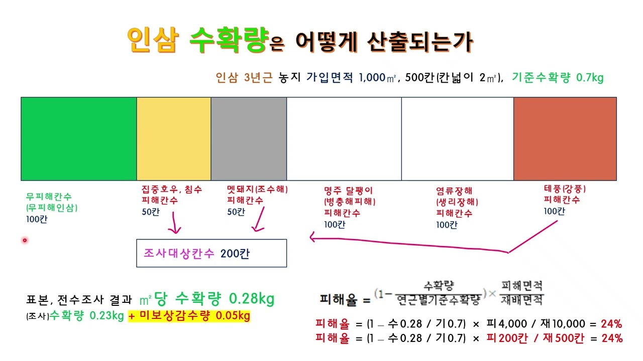 손해평가사 2차 2과목 2 - 1강 특정위험보장 인삼은 피해를 어떻게 구하는가