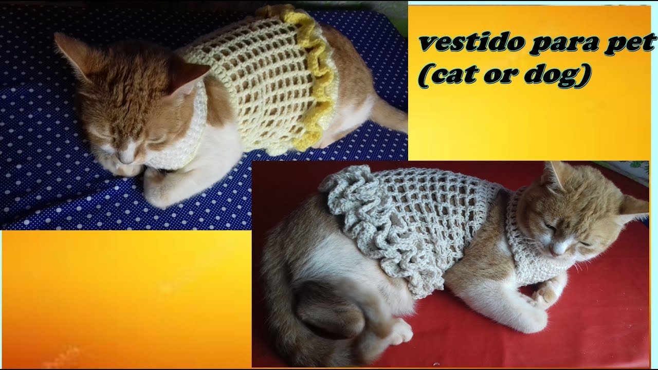 Diy como fazer vestido de crochê  para gatas e cachorras
